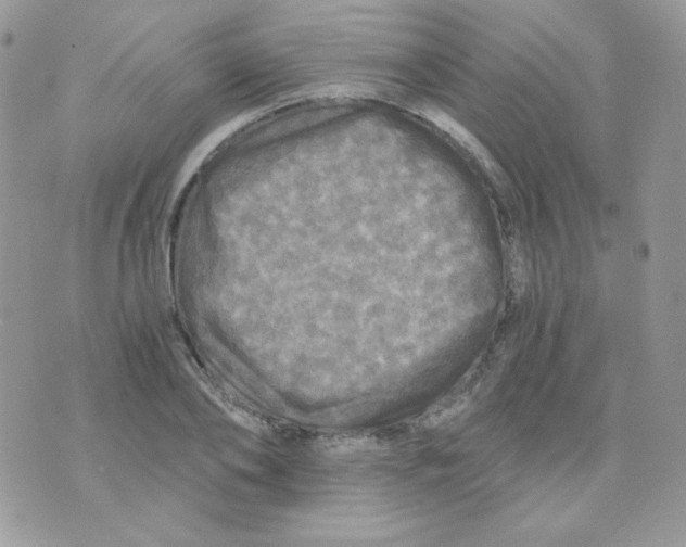 X0000071330886200607212004