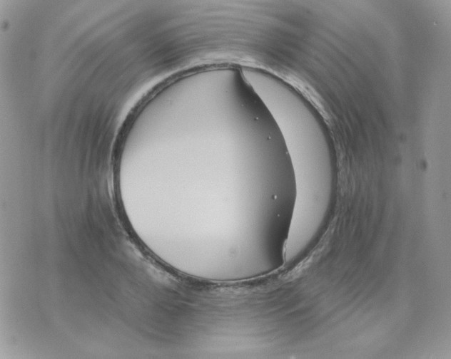 X0000071330888200607212004