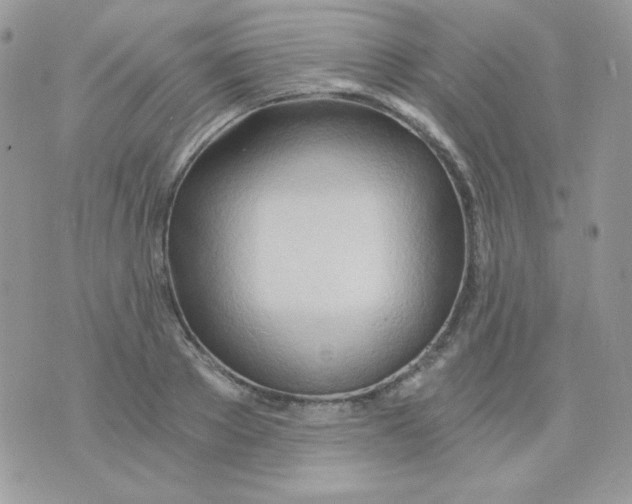 X0000071330889200607212004