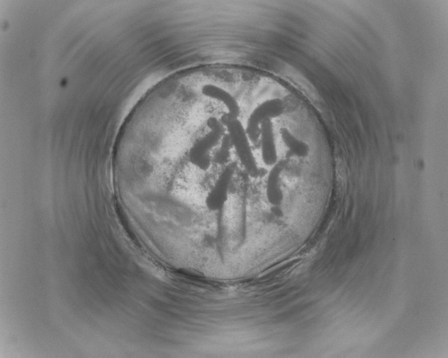 X0000071330891200607212004