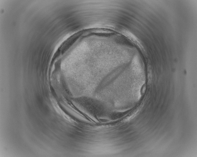 X0000071330892200607212004