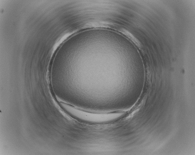 X0000071330893200607212004