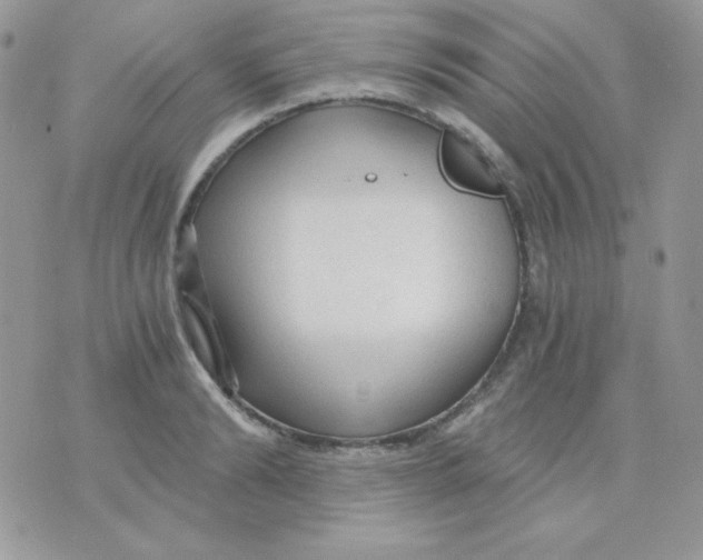 X0000071330894200607212004