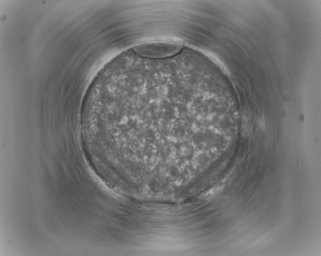 X0000071330895200607212004