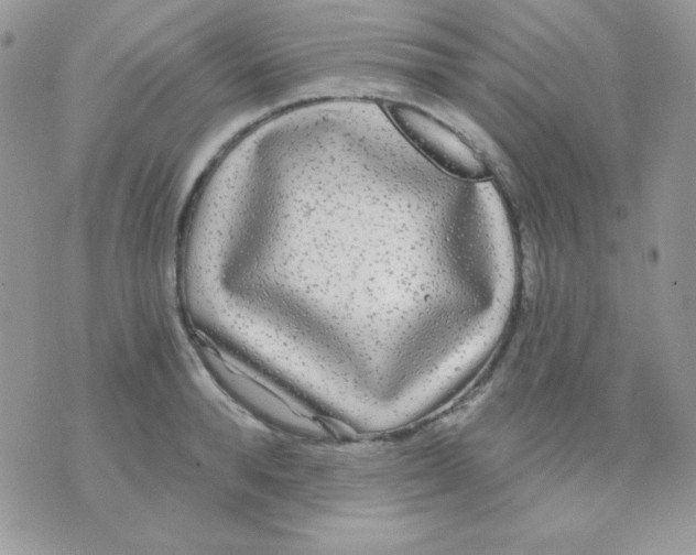 X0000071330896200607212004