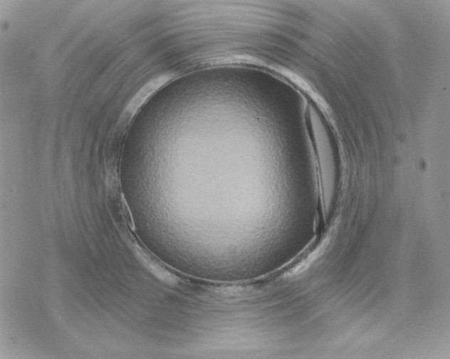 X0000071330897200607212004