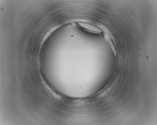 X0000071330898200607212004