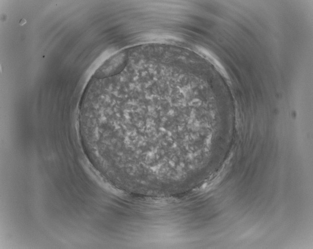 X0000071330899200607212004