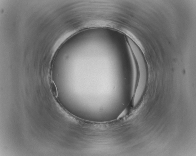 X0000071330901200607212004