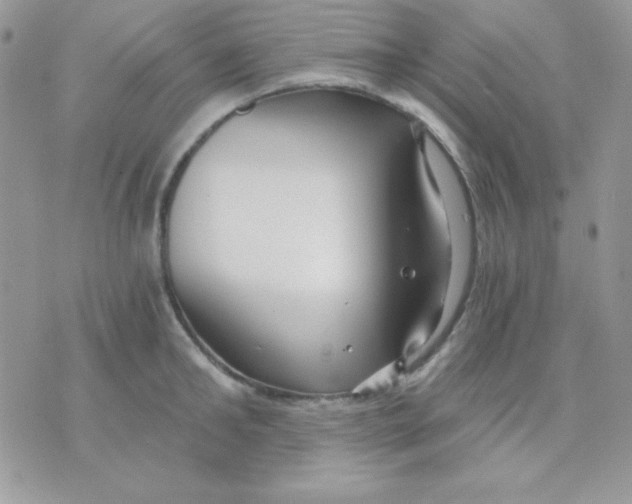 X0000071330902200607212004