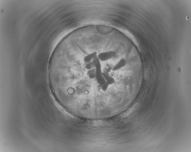 X0000071330903200607212004