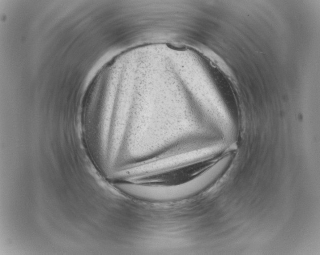 X0000071330904200607212004