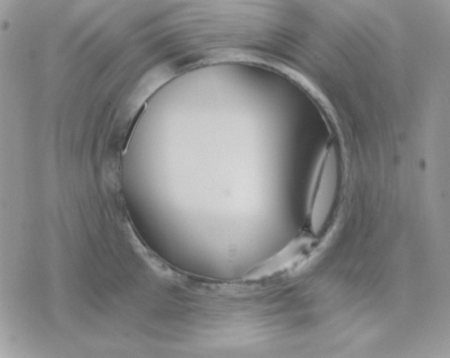 X0000071330905200607212004