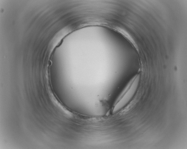 X0000071330906200607212004