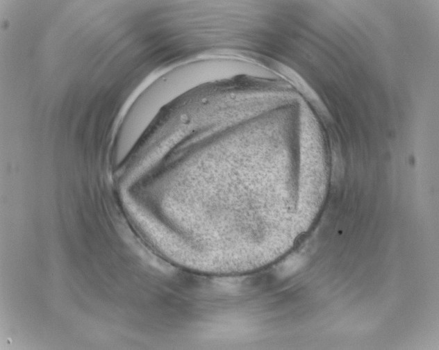 X0000071330908200607212004