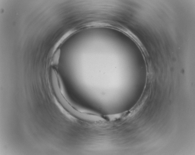 X0000071330909200607212004