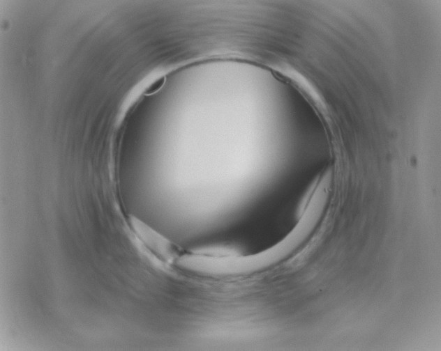 X0000071330910200607212004