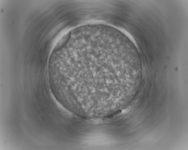 X0000071330911200607212004