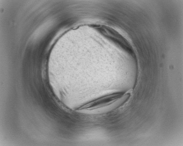 X0000071330912200607212004