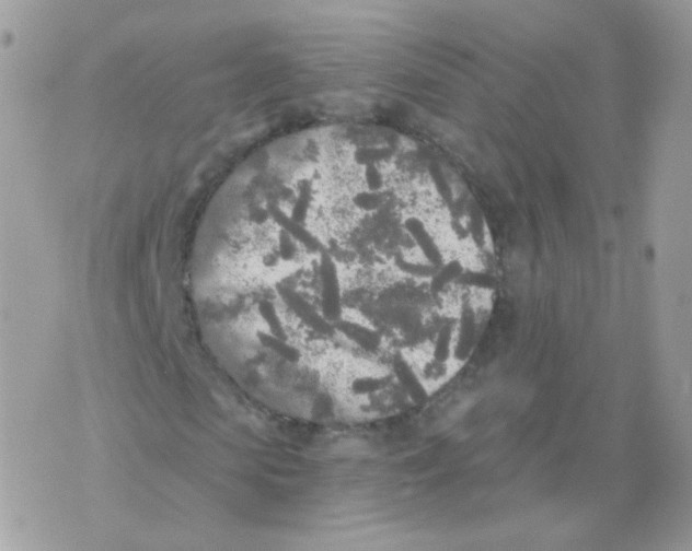 X0000071330913200607212003