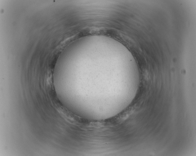 X0000071330914200607212003