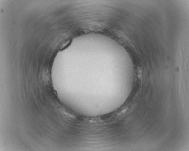 X0000071330915200607212003