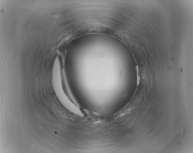 X0000071330916200607212003