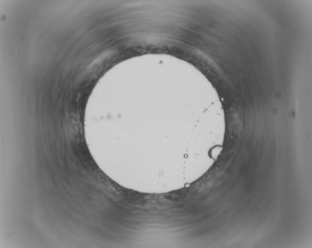 X0000071330918200607212003