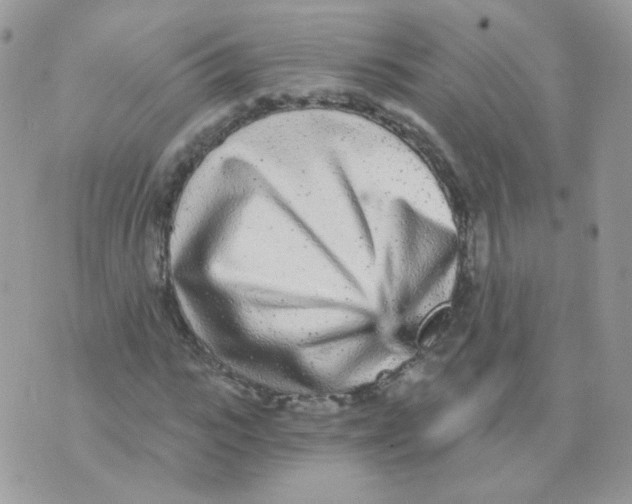 X0000071330919200607212003