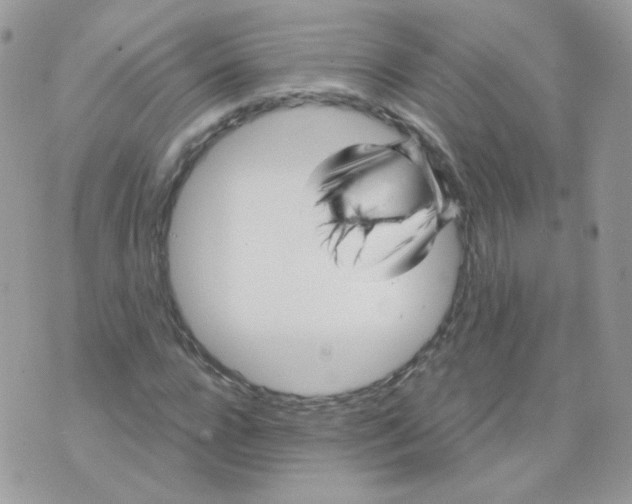 X0000071330920200607212003