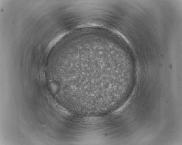 X0000071330921200607212003