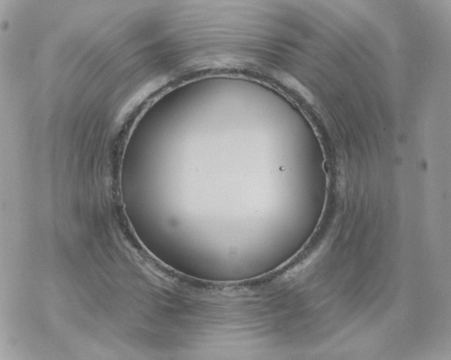 X0000071330922200607212003