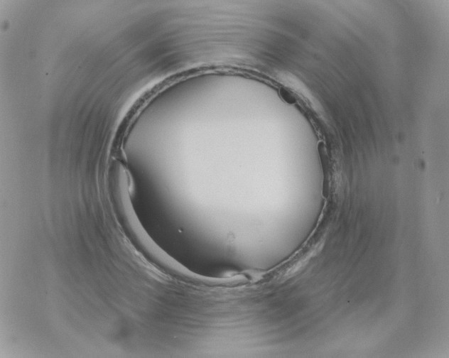 X0000071330924200607212003