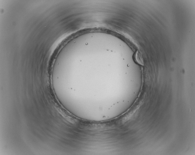 X0000071330927200607212003