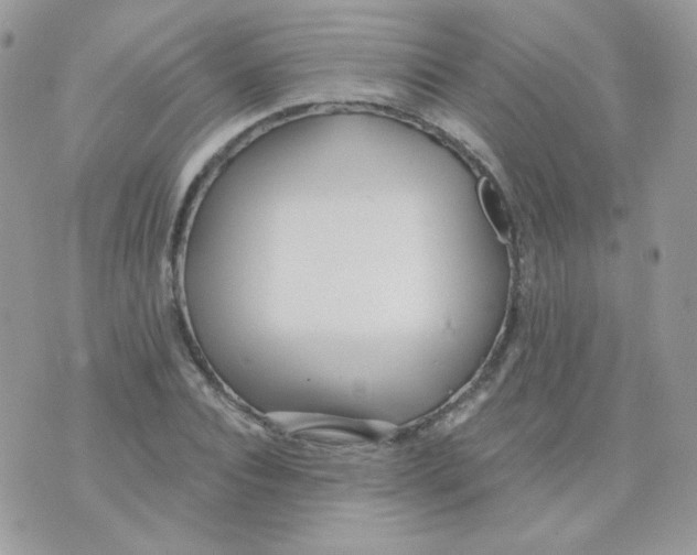 X0000071330928200607212003