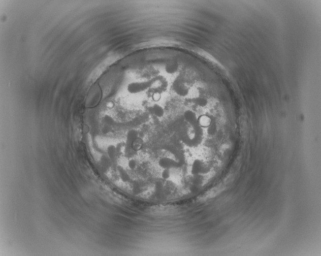 X0000071330929200607212003