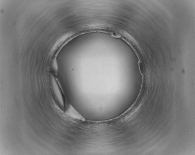 X0000071330930200607212003