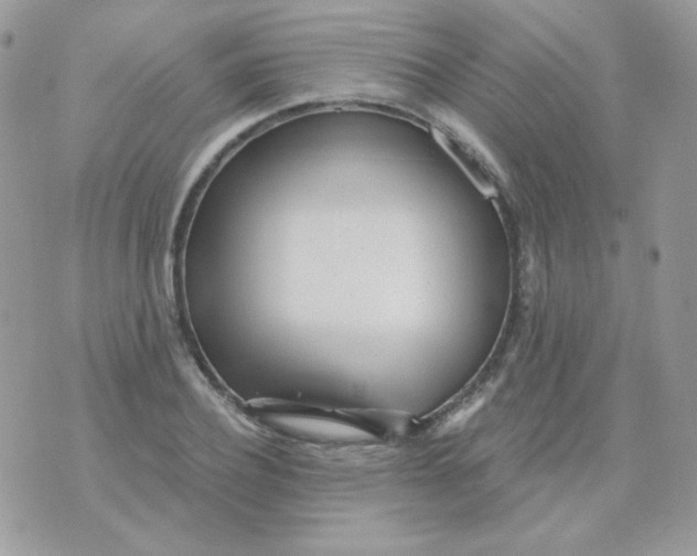 X0000071330932200607212003