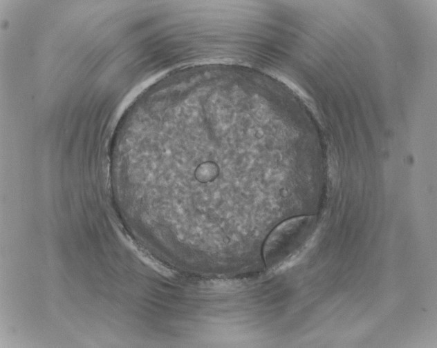 X0000071330933200607212003