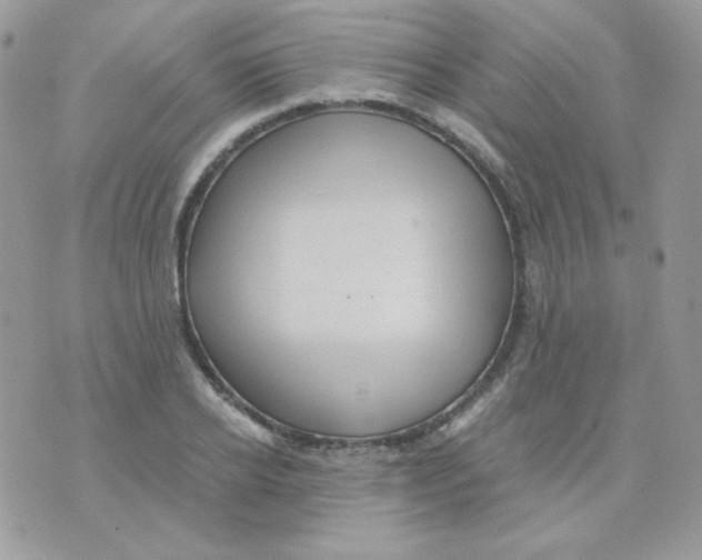 X0000071330934200607212003