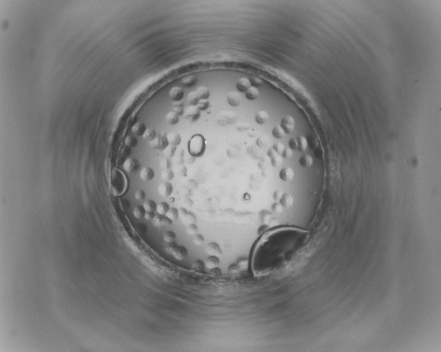 X0000071330935200607212003