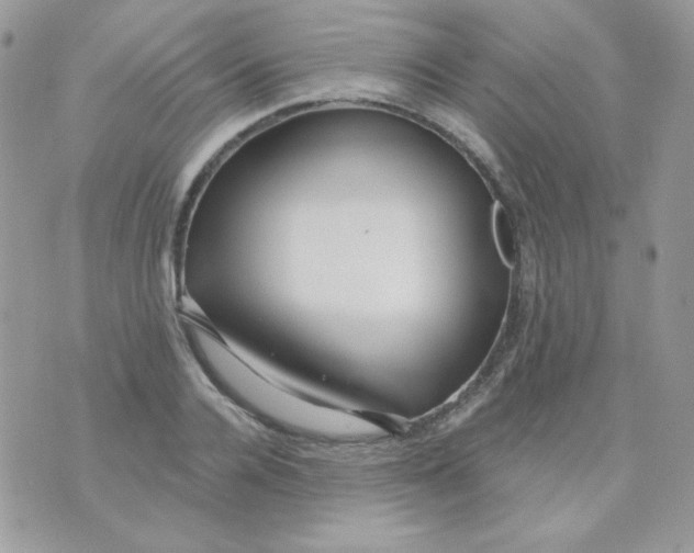 X0000071330936200607212003