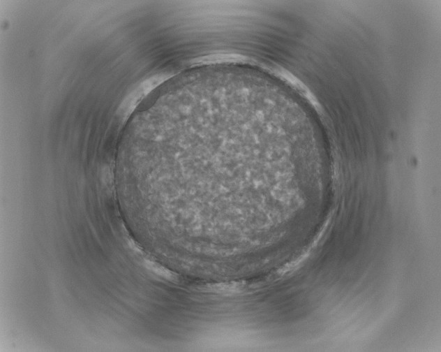 X0000071330937200607212003