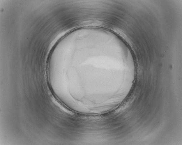 X0000071330941200607212003