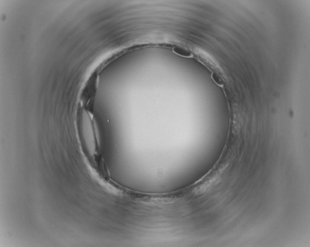 X0000071330942200607212003