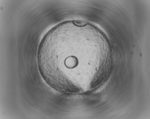 X0000071330943200607212003