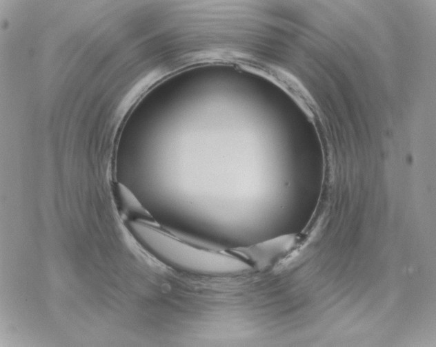 X0000071330946200607212004