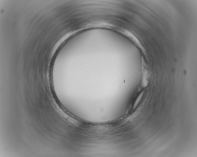 X0000071330947200607212004