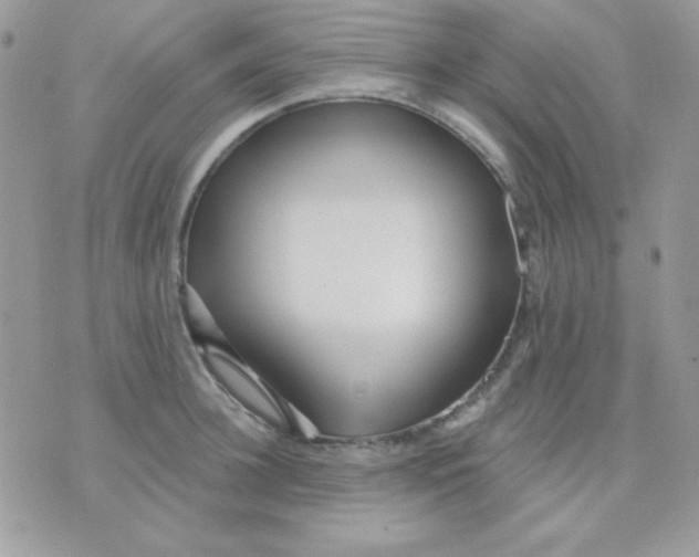 X0000071330948200607212004