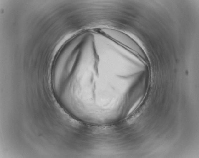 X0000071330949200607212004